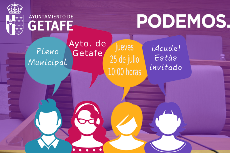 Pleno 25 de julio 2019