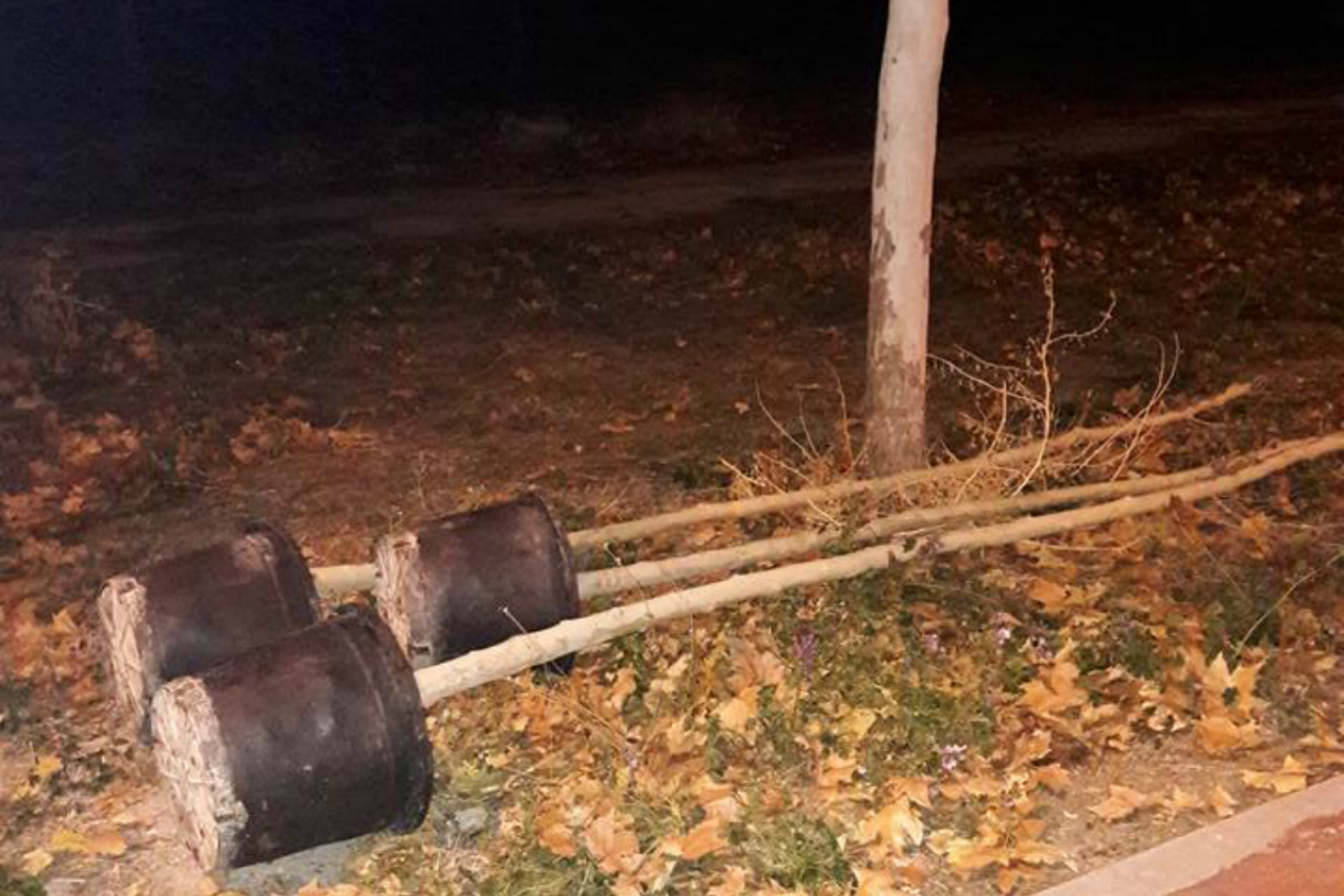 “Dejan secar los árboles y vuelven a plantar nuevos cada año”, denuncian los vecinos de Perales del Río