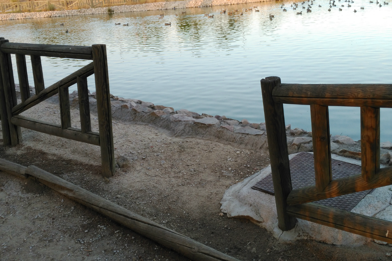 Podemos solicita que se reponga el vallado de los lagos del Parque Alhóndiga Sector III