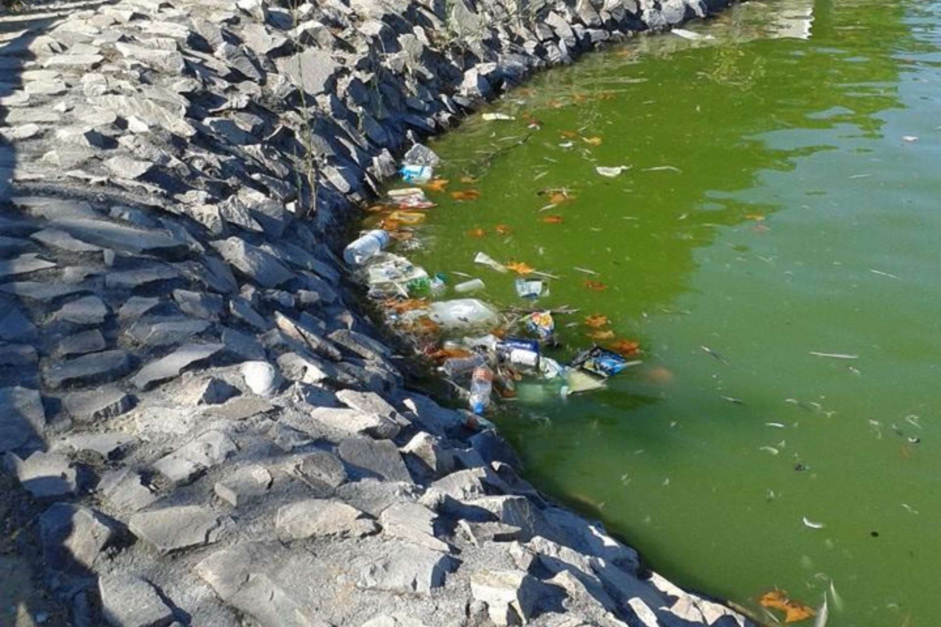 Podemos Getafe urge a agilizar las inversiones previstas en el Parque Alhóndiga Sector III