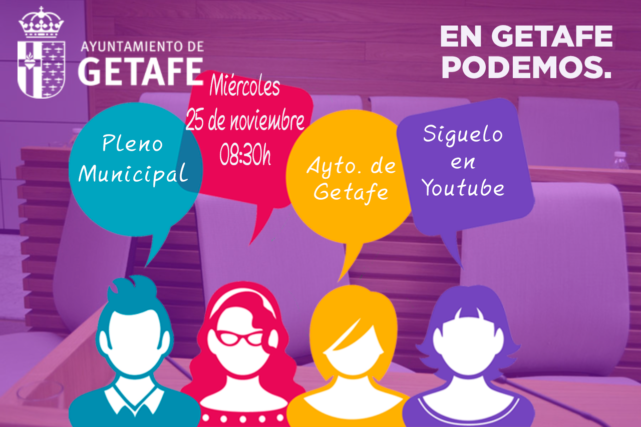 Pleno 25 de noviembre de 2020